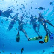 Snorkeling