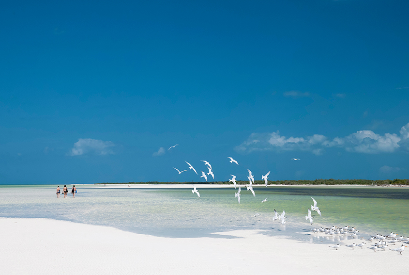 Holbox