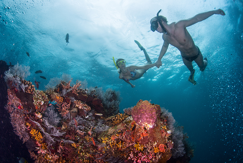 Snorkeling