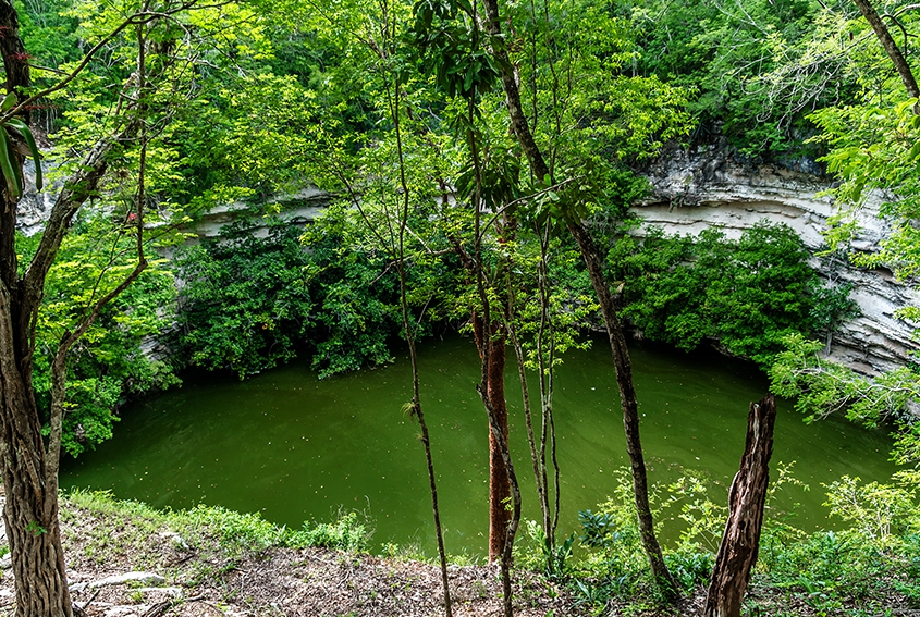 The Sacred Well