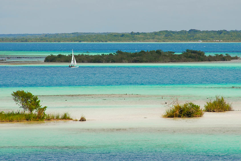 Bacalar