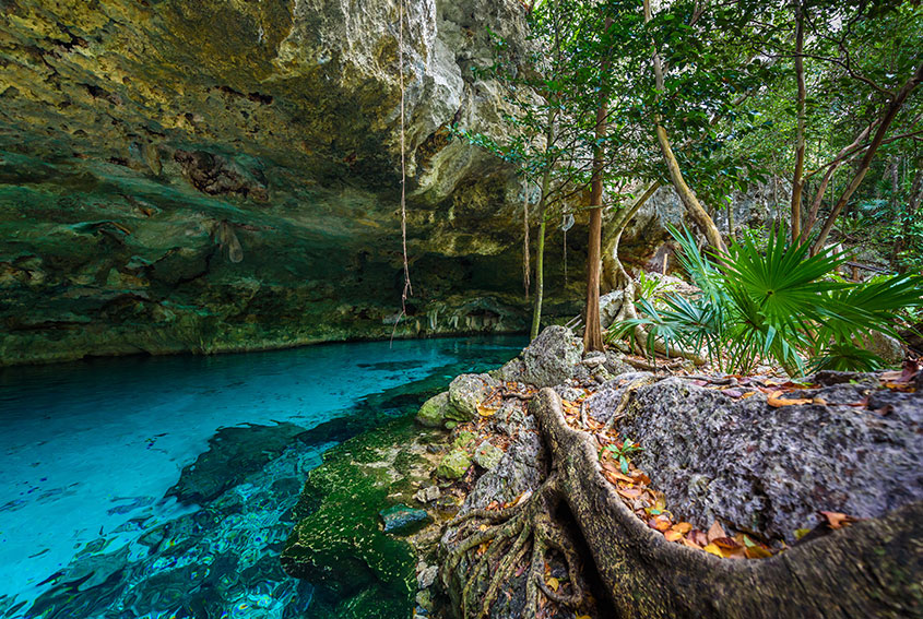 Cenote Dos Ojos