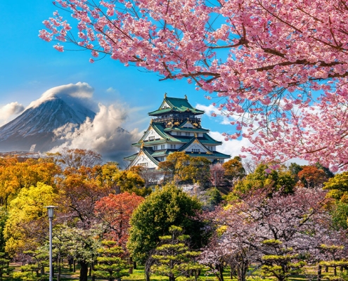 Mount Fuji