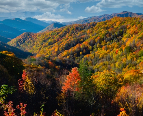 Great Smoky Mountains