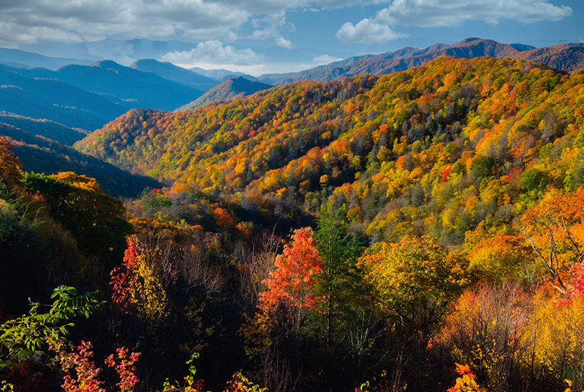 Great Smoky Mountains