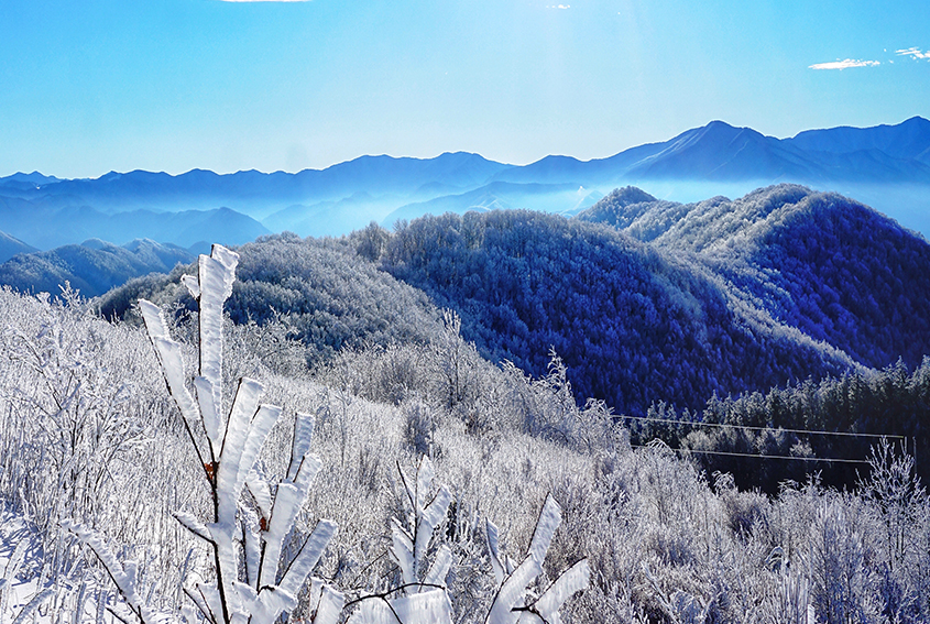 Great Smoky Mountains